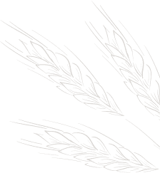 bg_1.png