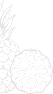 bg_2.png