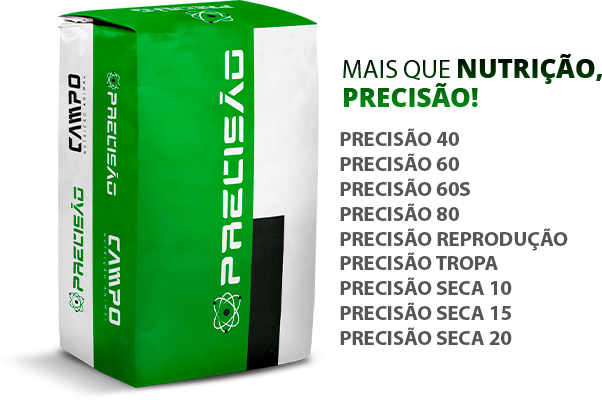 Precisão