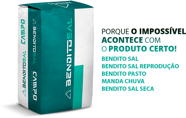 Bendito Sal