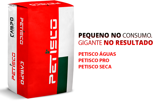Saco Petisco