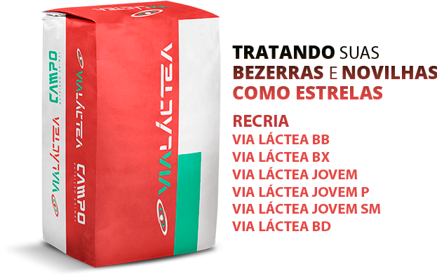 Ícone Direita