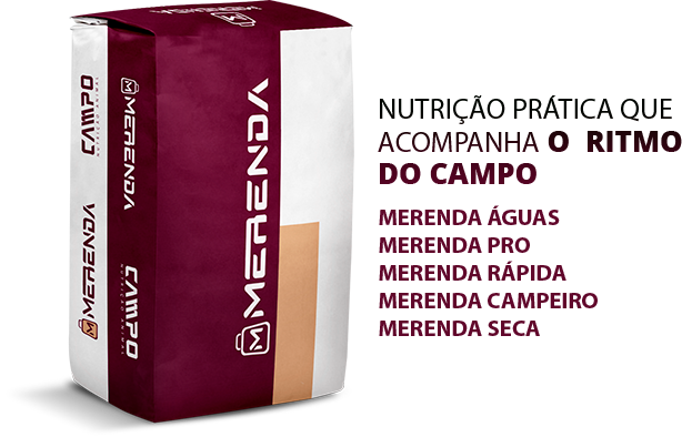 Merenda