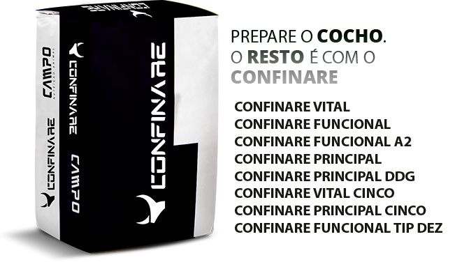 Saco Confinare